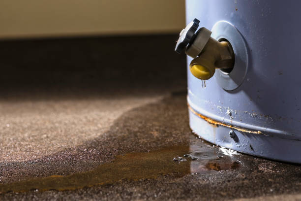 Best Ceiling water damage repair  in Morgandale, OH