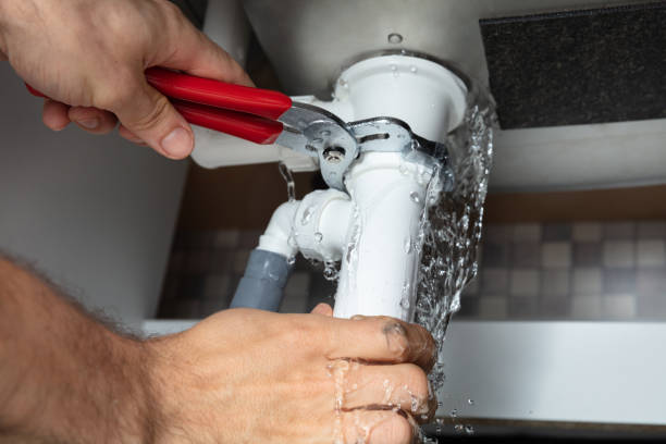 Best Water damage contractors near me  in Morgandale, OH
