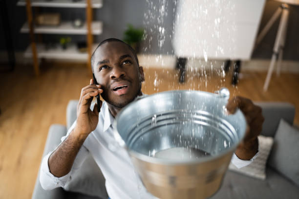 Best Water damage cleanup near me  in Morgandale, OH