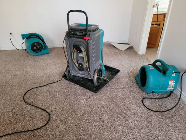 Sewage cleanup and water damage restoration in Morgandale, OH