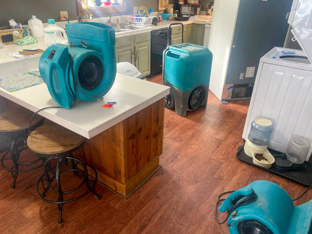 Trusted Morgandale, OH Water damage restoration Experts