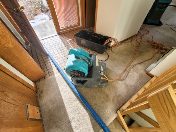 Best 24-hour water damage restoration  in Morgandale, OH