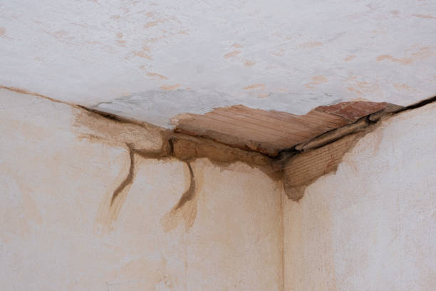 Best Sewage cleanup and water damage restoration  in Morgandale, OH