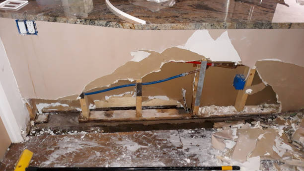 Best Flooded house restoration  in Morgandale, OH