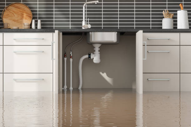  Morgandale, OH Water damage restoration Pros