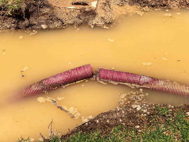 Best Commercial water damage restoration  in Morgandale, OH