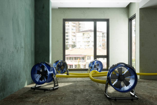 Best Sewage cleanup and water damage restoration  in Morgandale, OH